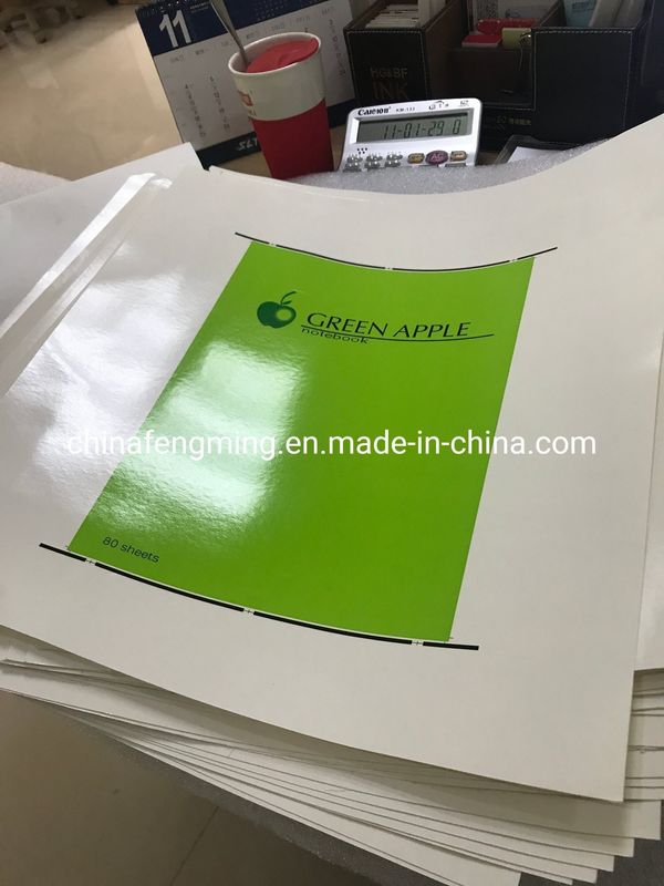 Experimente a versatilidade da Flexo Press Multicolor para o seu negócio