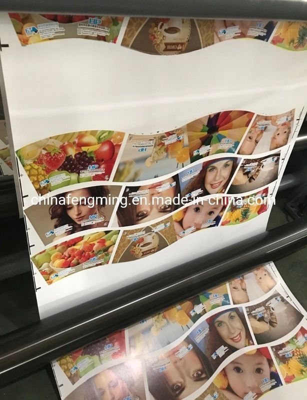 Largura máxima da teia 920/1020/1220 mm FM-B 920-1850 Máquina de impressão flexográfica para copos de papel