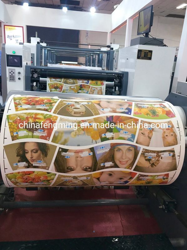 Máquina de Impressão Flexo de Tinta à Base de Água para Bolsa de Papel de Copo Bolsa de Papel de Tecido a preços competitivos