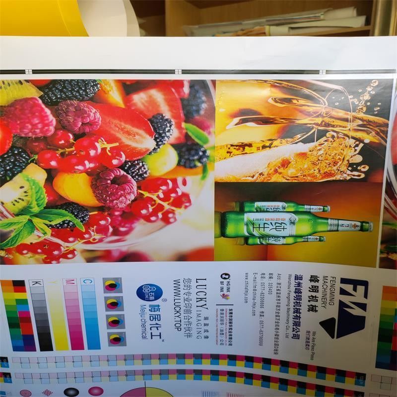Requerimento personalizado Máquina de impressão flexográfica de alta velocidade de 6 cores para rolo de papel
