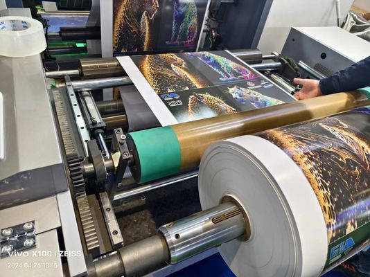 Máquina de Impressão Flexo de Papel de Palha Amigável ao Ambiente para Impressão de Sacos de Etiquetas e Cartões