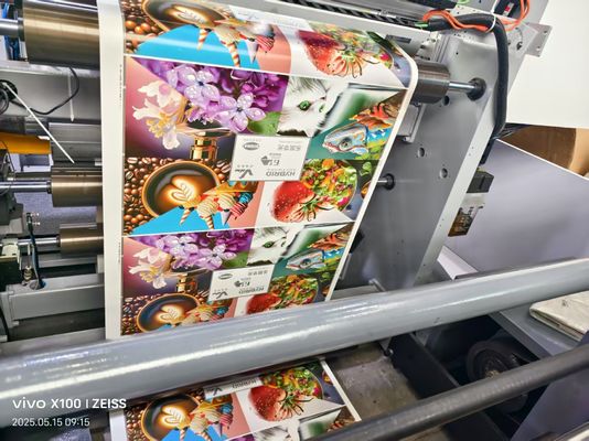 Impressoras Flexográficas de Alta Velocidade 8 Cores Máquina de Impressão Gráfica Flexo Preço 8 Cores