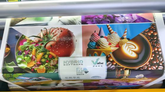 Máquina de impressão automática de alta qualidade de rolo para rolo tipo pétala modelo servo completo flexão em linha